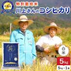 令和8年産 佐渡島産川上さんのコシヒカリ
