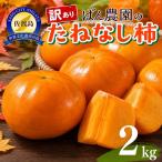 佐渡島産 たねなし柿 2kg