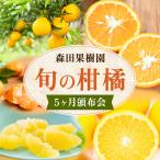 柑橘 柑橘定期便 森田果樹園