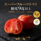訳あり スーパーフルーツトマト 約800g