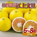 江上文旦 3.5kg