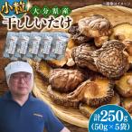 産椎茸 おいしいたけ 小粒どんこ 50g×5パック