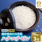 定期便 華越前 無洗米 5kg×3回