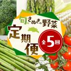 野菜セット 定期便 アスパラ とうもろこし 野菜セット