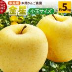 金星 約5kg