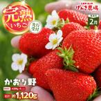 かおり野 約280g×4P