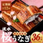 流水桜うなぎ定期便 計4.3kg超 120g×3尾×12ヶ月