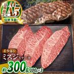 長崎和牛 ミスジステーキ 300g