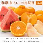 果物の詰合せ 発送月固定定期便 紀州和歌山産旬のフルーツ…