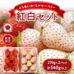紅白セット とちあいか ミルキーベリー 270g×2パック