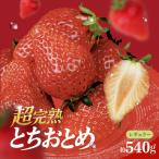 鈴木ファームの厳選&完熟&朝摘み とちおとめ