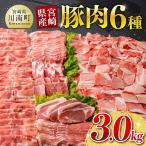 豚肉 しゃぶしゃぶ セット 3kg