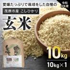 こしひかり玄米10kg MBAO008