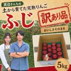 訳あり りんご 完熟 ふじ 5kg