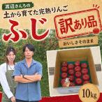 訳あり りんご 完熟 ふじ 10kg