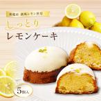 レモンケーキ 5個