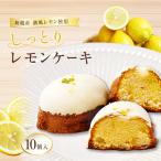 レモンケーキ 10個