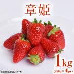 章姫 1kg