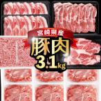 産豚バラエティー3.1kgセット_K033-054-10