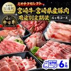 ミヤチクセレクト 宮崎牛 産豚肉満足定期便