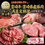 ミヤチクセレクト 宮崎牛 産豚肉満足定期便