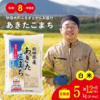 白米 あきたこまち 精米 ブランド米 定期便