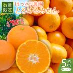 とろけるみかん 生まれ はっとり育ち 5kg