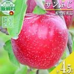 サンふじ 秀~特秀4.5kg いいづな松橋園