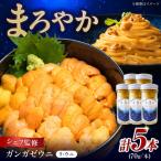 リ ウニ Re:UNI ガンガゼうに 70g×5本