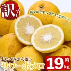 訳あり まなべみかん園のサワーポメロ 約19kg