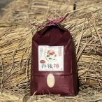令和8年産 特別栽培米コシヒカリ 丹後椿