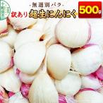 訳あり 乾燥にんにく 無選別バラ500g