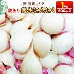 訳あり 超生にんにく 無選別バラ1kg 500g×2