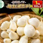 乾燥にんにく 無選別バラ1kg 500g×2