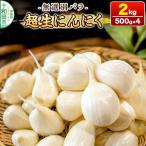 超生にんにく 無選別バラ2kg 500g×4