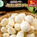 超生にんにく 無選別バラ5kg 500g×10