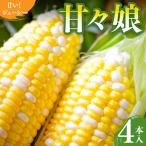 入手困難 甘々娘4本入り REGALO