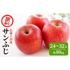 りんご 信州上田産 サンふじ 約10kg
