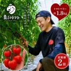 ミニトマト トマトベリー 約1.8kg