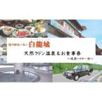 道の駅 あいおい白龍城 ペーロン城 天然ラドン温泉&お食事券