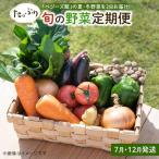 ベジーズ館の夏 冬野菜 年2回コース 7月と
