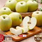 りんご 王林 約10kg