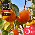 〈訳あり〉 富有柿 約 5kg
