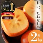 たねなし柿 わけあり 約2kg