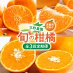 北野農園の旬の柑橘定期便 訳あり _DZ60-T01
