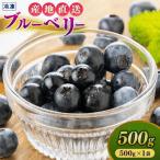 冷凍ブルーベリー 500g