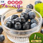 冷凍ブルーベリー 1kg