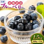 冷凍ブルーベリー 1.5kg
