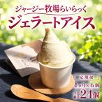 ジェラートアイス 定期便 6個×4回