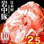 岩中豚 切り落とし 2.5kg